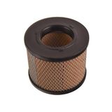 Blue Print ADZ92234 Luchtfilter