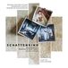 Sony Music Schattenkind Original Motion Picture Soundtrack and Music Inspi