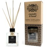 Buy Top Gift Top Gift 200ml Lime & Ginger Essential Oil Reed Diffuser