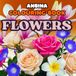 Stunning Flowers Colouring Book