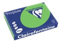 Clairefontaine Gekleurd Papier Grasgroen A4 120 grams (250 vel)