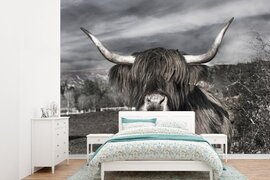 Nr1Wallpaper Behang - Fotobehang Schotse Hooglander - Dieren - Hoorns - Breedte 330 cm x hoogte 240 cm