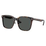 Ray-Ban Modieuze zonnebril met tortoise print 0RB2206D bruin