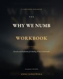The Why We Numb Workbook: Exercises and Reflections for Healing What's Underneath