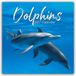 TGSC The Gifted Dolphins - Delfine - Delphine 2027 - 16-Monatskalender