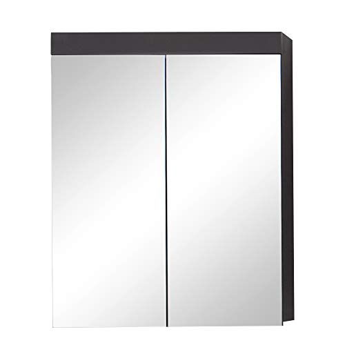 trendteam smart living Amanda Badkamerspiegelkast - 60 x 77 x 17 cm - grijs/Agave grijs hoogglans - zonder verlichting