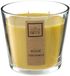 Atmosphera geurkaars - 500g - citrus/citronella geur - 40 branduren