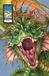 Dragon's Rabbit Valley Comics Dragon's Hoard: NomNoms