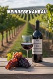 Weinrebenanbau: Alle Aspekte des modernen Weinbaus: Rebsorten für die Weinproduktion, Anbautechnik, Reberziehung und digitale Technologien