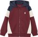 Vertbaudet Jongens Sweater met Rits en Capuchon - Colorblock - Bordeauxrood - Maat 128