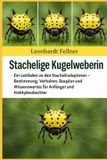 Stachelige Bol Stachelige Kugelweberin