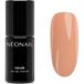NEONAIL UV Gel Polish Color