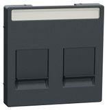 Merten MEG4564-0414: Plaque centrale pour prise modulaire double avec indication et volet anti-poussière, anthracite, système M