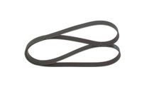 BOSCH Keilrippenriemen 1987948442