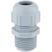 LAPP 53110076 Wartel 3/8 (10 mm) 10 stuk(s)