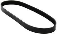 Metzger 6PK841 DAYCO V-ribriem