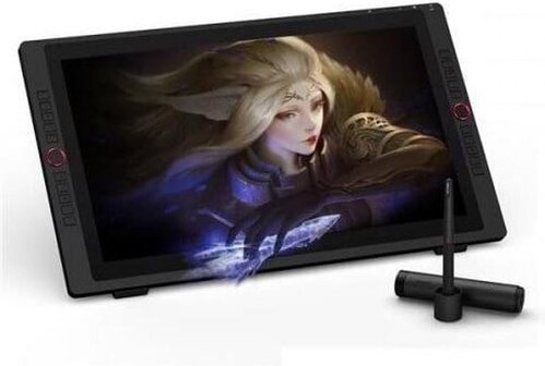 XP-PEN Artist 24 Pro - Pen display tekentablet - Zwart