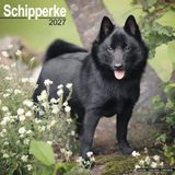 Avonside Schipperke Kalender 2027