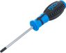BGS Schroevendraaier T-profiel (voor Torx) met boring T30 Bladlengte 100 mm