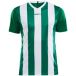 Craft Icecat Jersey Craft progress stripe
