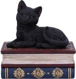 Nemesis Now Salems Spells 11.7cm Polyresin Figurine