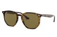 Ray-Ban RB4306 lunettes de soleil