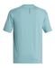 Quiksilver Everyday Surf Tee Ss Combinaison de soleil Homme (lot de 1)