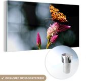 MuchoWow® Glass Painting 40x20 cm - Acrylic Glass Painting - Butterfly - Flowers - Insects - Photo on Glass - Paintings