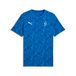 PUMA Neymar Jr Brazilie Passion T-shirt met print voor Heren, Blauw/Wit, Maat XL