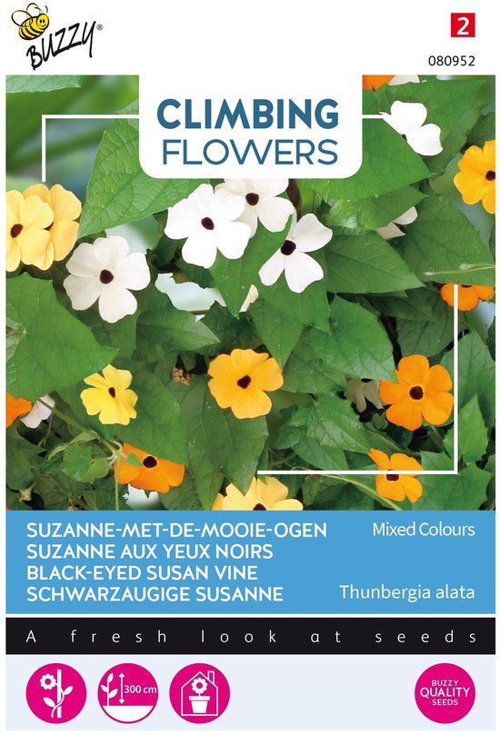 Buzzy Flowering Climbers Thunbergia Mixed Bloemzaad