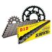 Kettingset DID Kettingset staal 530VX3 / 110 klinkslot voor Triumph Trophy 1200 cc bj. 1994-1995