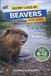 Secret Libri GmbH Secret Lives of Keystone Species Animals That Matter Most for Kids- Secret Lives of Beavers for Kids