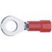 Klauke 6206 Cossue de câble à œillet Section transversale (max.): 1 mm² Diamètre de la tige: 6.5 mm Partiellement isolé Rouge 1 pièce(s)