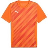 Puma Kindertrui Teamgoal Graphic