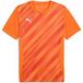 Puma Kindertrui Teamgoal Graphic