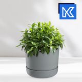 KADAX Bloempot met onderzetter, kunststof plantenpot, minimalistische plantenbak, decoratieve pot voor bloemen, cactussen en kruiden (25 cm, grijs)