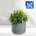 KADAX Bloempot met onderzetter, kunststof plantenpot, minimalistische plantenbak, decoratieve pot voor bloemen, cactussen en kruiden (25 cm, grijs)