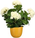 Mica Decorations Hortensia Kunstplant 45 cm - Wit - Okergeel Glanzende Pot
