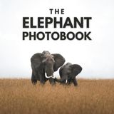 The Elephant Photobook: Intimate Portraits and Majestic Moments of Gentle Giants in the African Savannah and Wild Safari Landscapes – Beautiful ... for Elephants Lovers and Wildlife Enthusiasts