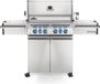 Napoleon Prestige PRO 500 RVS (incl. draaispit)