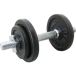 HAMMER Korte Halters Hammer 10 kg