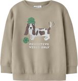 NAME IT NMMNILIUS LS NREG SWE BRU PB Jongens Sweaters