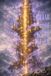 PILLAR OF SOUL TKC-VH: TKC-VH DIARY. C48-C50, 2025