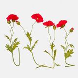 Loberon Decoratieve bloem set van 4 Doravela rood