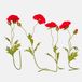 Loberon Decoratieve bloem set van 4 Doravela rood