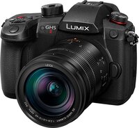 Panasonic Lumix GH5M2 + Leica ES12060 zwart