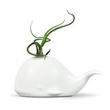 Fred & Friends 5229116 Buitensporige Ceramische Miniluchtplant/Succulente Houder, Walvis