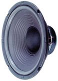 VISATON VS-W250 - Subwoofer - 90W - Zwart