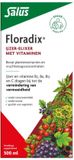 Salus Floradix IJzer-elixir - 500 ml