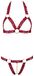 Cottelli Collection Rood Lingerie Set Maat S/M